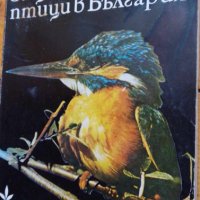 Защитени птици в България - Таню Мичев, Никола Райков, снимка 1 - Специализирана литература - 43093657