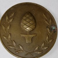 Немски медали по плуване 1951/1952г, снимка 2 - Антикварни и старинни предмети - 36997927