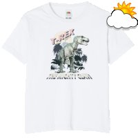 T-REX -соларна тениска-щампа с променящи се цветове, снимка 4 - Детски тениски и потници - 37325046