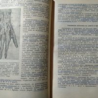 Кратък курс по оперативна хирургия: С топографска анатомия 1950 г., снимка 3 - Специализирана литература - 27634073