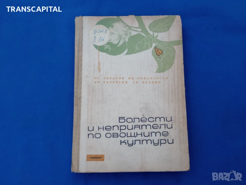 Болести и неприятели по овощните култури , снимка 1