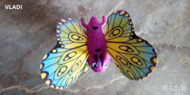 Шарена пеперудка, снимка 1