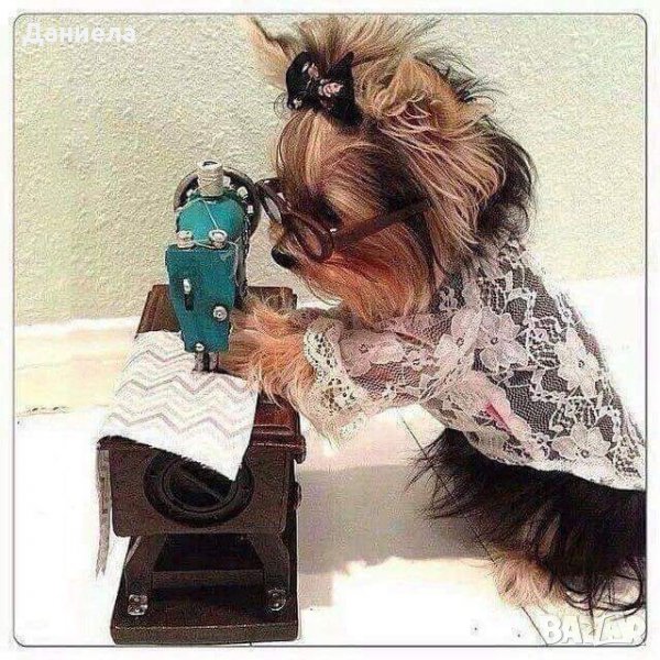 Шивашки услуги , снимка 1