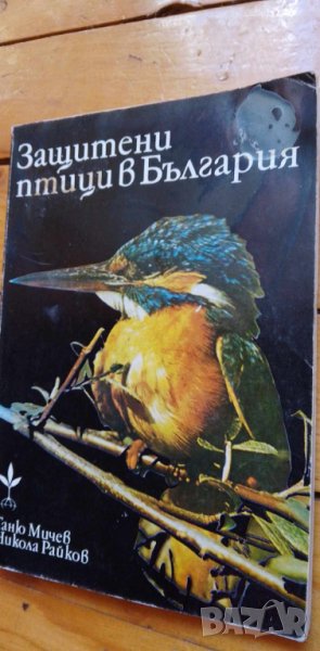 Защитени птици в България - Таню Мичев, Никола Райков, снимка 1