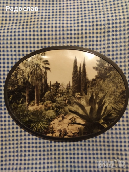 СССР сувенир пано за стена Сочи, снимка 1