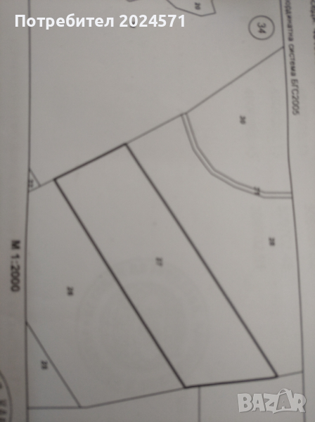  Продаваме широколистна гора- 7.500 дек., снимка 1