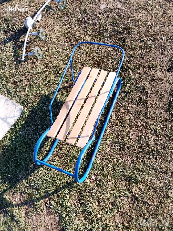 Шейна, снимка 1