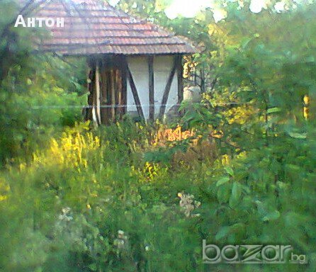 House for Sale in Sinagovtsi, Vidin