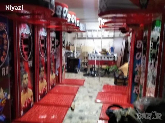 Боксова Круша, снимка 2 - Бокс - 48298832