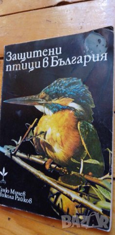 Защитени птици в България - Таню Мичев, Никола Райков, снимка 1
