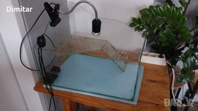 Аквариум за костенурка, снимка 2 - Аквариуми - 52350847