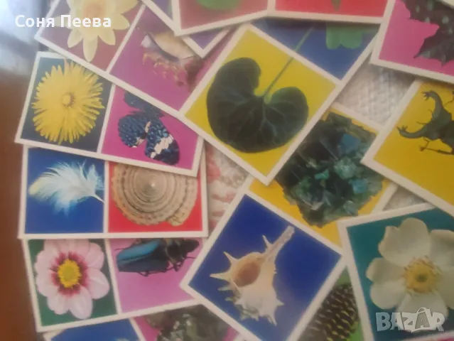 Домино-пъзел с подарък дървени кубчета, снимка 5 - Образователни игри - 48354953