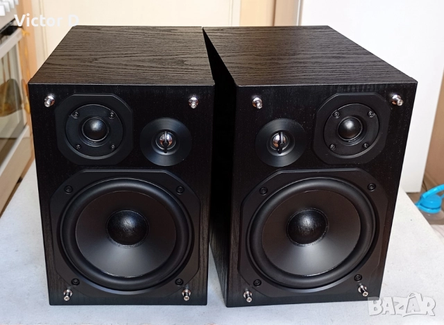 Panasonic SB-PMX70 - Тонколони Bookshelf