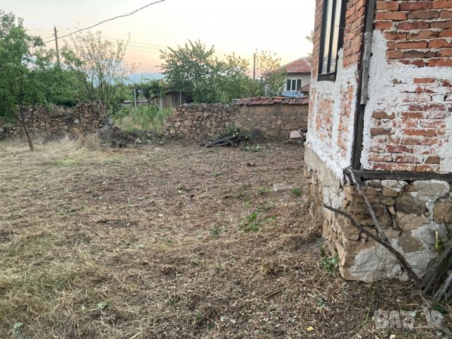 Косене на Трева и Почистване на Дворове, снимка 10 - Почистване на домове - 37740339