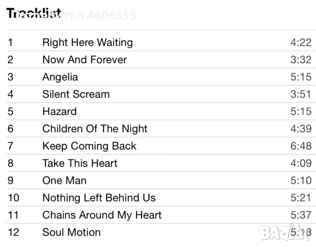 CD Richard Marx – Best Ballads, снимка 4 - CD дискове - 52552978