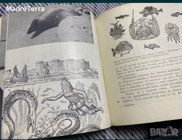 Жан-Албер Фоекс - Подводната история на човечеството, снимка 5 - Енциклопедии, справочници - 43526367