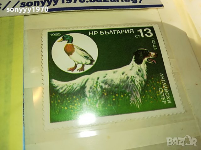 МАРКА 4 НРБ 1985 АНГЛИЙСКИ СЕТЕР 1203231608, снимка 8 - Филателия - 39972745