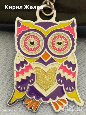 Метален ключодържател с дизайн на бухал 🦉 изобразен в ярки цветове подходящ аксесоар за раници 32532, снимка 3 - Други - 51118939