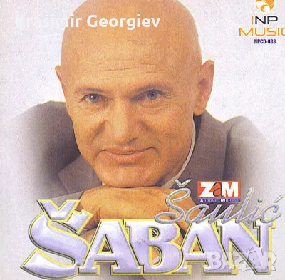 На флашка или на CD сръбски  ДИСКОГРАФИИ на Драгана,Мирослав Илич,Лепа Брена,Шабан Шаулич,Мухарем, снимка 14 - CD дискове - 48996066