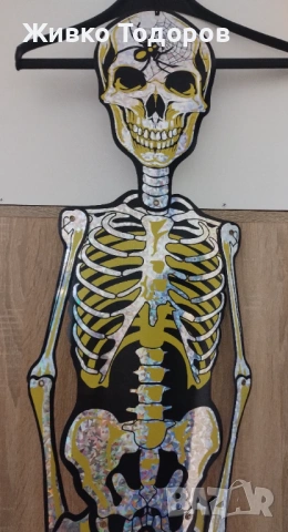 Забавен плакат/винил,Скелет (Холографски ефект 1,5 м.) Книгоразделител - Sugar Skulls, снимка 18 - Картини - 48804444