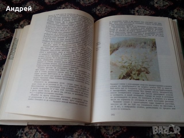 Книга Атлас по Ботаника в Антикварни и старинни предмети в гр. Перник ...