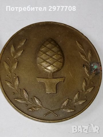 Немски медали по плуване 1951/1952г, снимка 2 - Антикварни и старинни предмети - 36997927