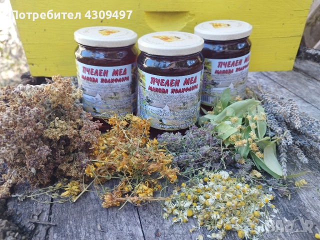 Пчелен мед "Столетник", снимка 5 - Пчелни продукти - 51820420