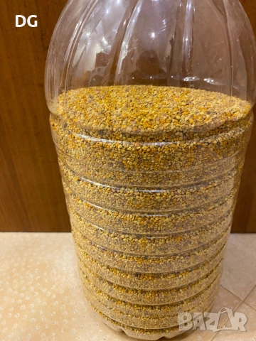 	Пчелен прашец