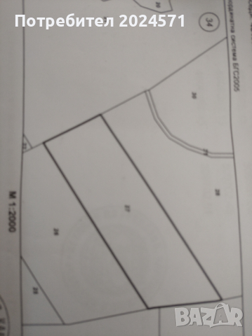  Продаваме широколистна гора- 7.500 дек.