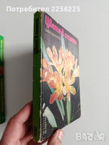 ЛОТ Стайни растения, снимка 10 - Специализирана литература - 53564703
