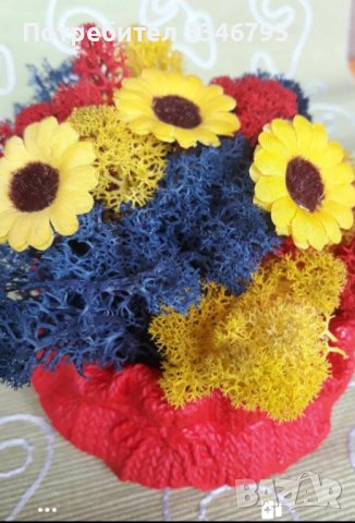 Кашпа със скандинавски мъх. , снимка 2 - Други - 44117016