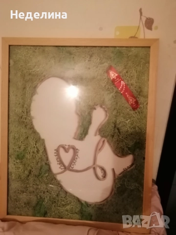 Картини с мъх и цветя , снимка 9 - Картини - 52079612