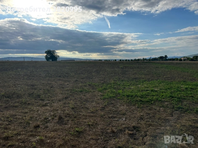 Земеделски имот, снимка 7 - Земеделска земя - 53159379