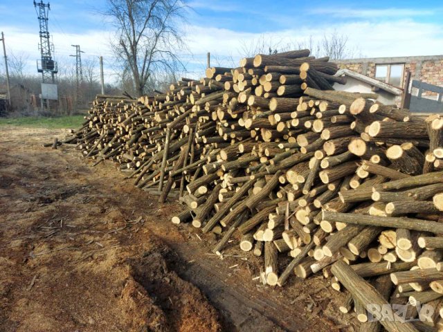 Дърва за огрев "Акация", снимка 7 - Дърва за огрев - 35403693