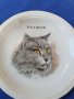 Колекционерски чинии за стена с котки , снимка 12
