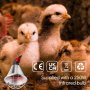 Отоплителна лампа Ledivion за домашни птици с 250 W инфрачервена топлинна крушка, снимка 3