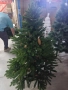 елхи , снимка 17