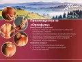 Масажен гел Ортофит , снимка 12