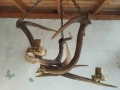 Стар полилей от 3 еленови рога , снимка 2