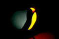1бр. ЛЕД LED рогче рогчета Кобра 15см с динамичен мигач НЕОН 24V, снимка 4