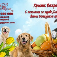 ЗООТРАНСПОРТ, снимка 2 - Пинчер - 43937866