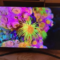 Чисто нов телевизор LG LED 50NANO813QA, 50" (127 см), Smart, 4K Ultra HD, снимка 11 - Телевизори - 39769974