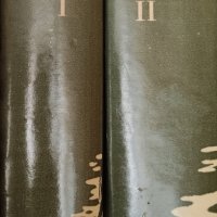 Михаил Шолохов-Тихият Дон в 2 тома, снимка 1 - Художествена литература - 39937470