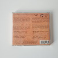 Re-Orient With Baluji Shrivastav ‎– Indian World Music Fusion cd, снимка 3 - CD дискове - 43289563
