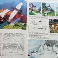 Тайните на животните - В Планините/В Саваните - 1992г. , снимка 4 - Енциклопедии, справочници - 43906964