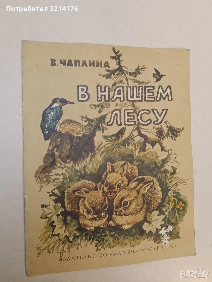 В нашем лесу - В. Чаплина, снимка 1