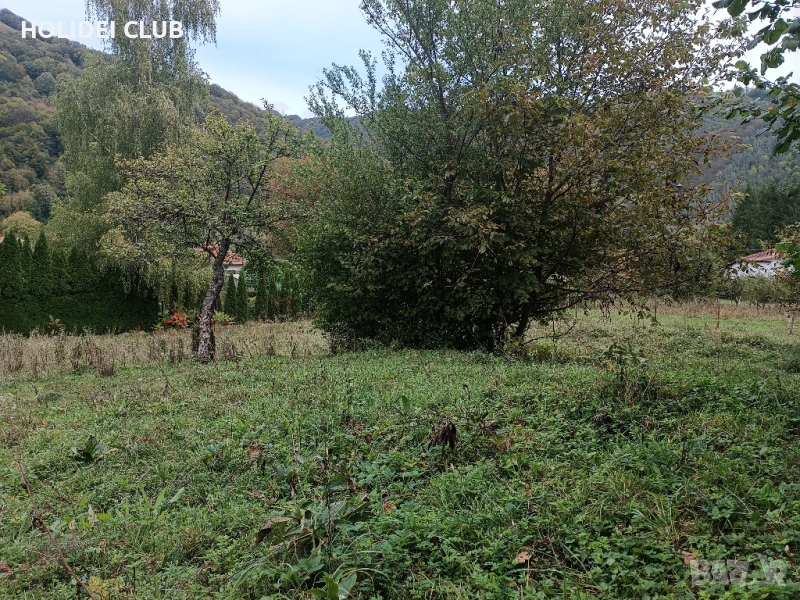 Продава   парцел в  с.Рибарица, снимка 1