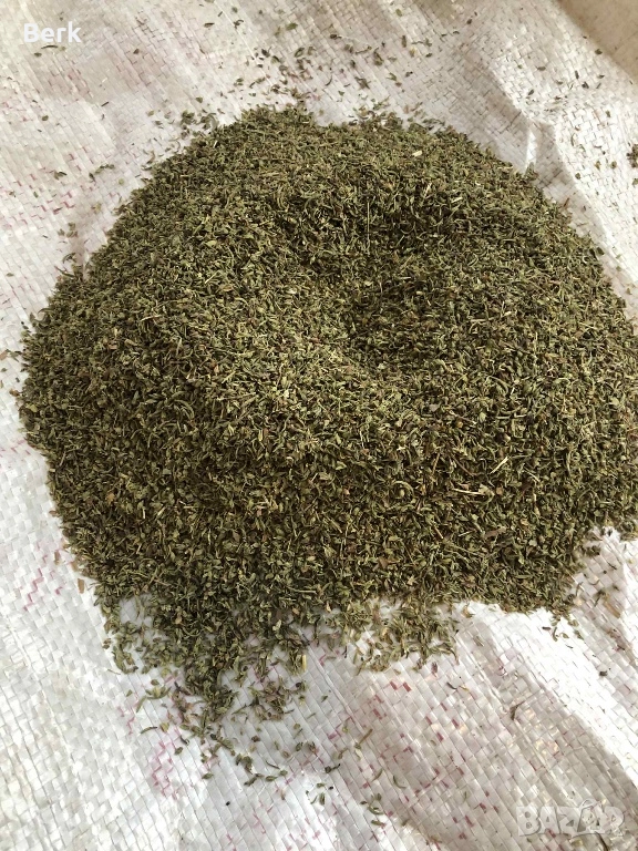 Семена от чубрица, снимка 1