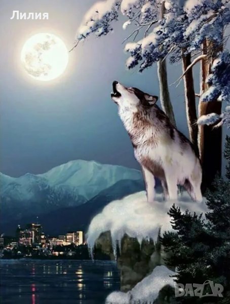 5D  Диамантени гоблени, снимка 1