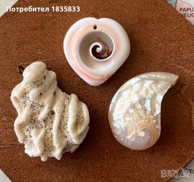 Стари морски медальони, снимка 1